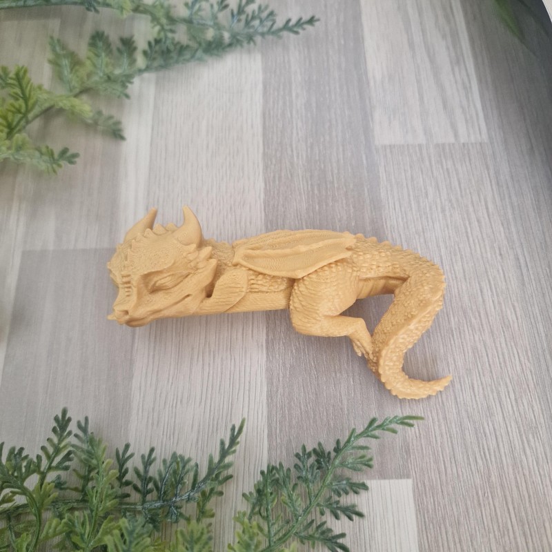 Petit Dragon Endormi