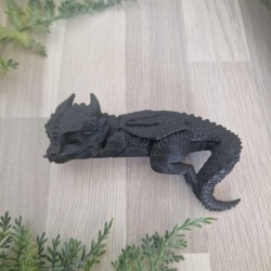 Petit Dragon Endormi