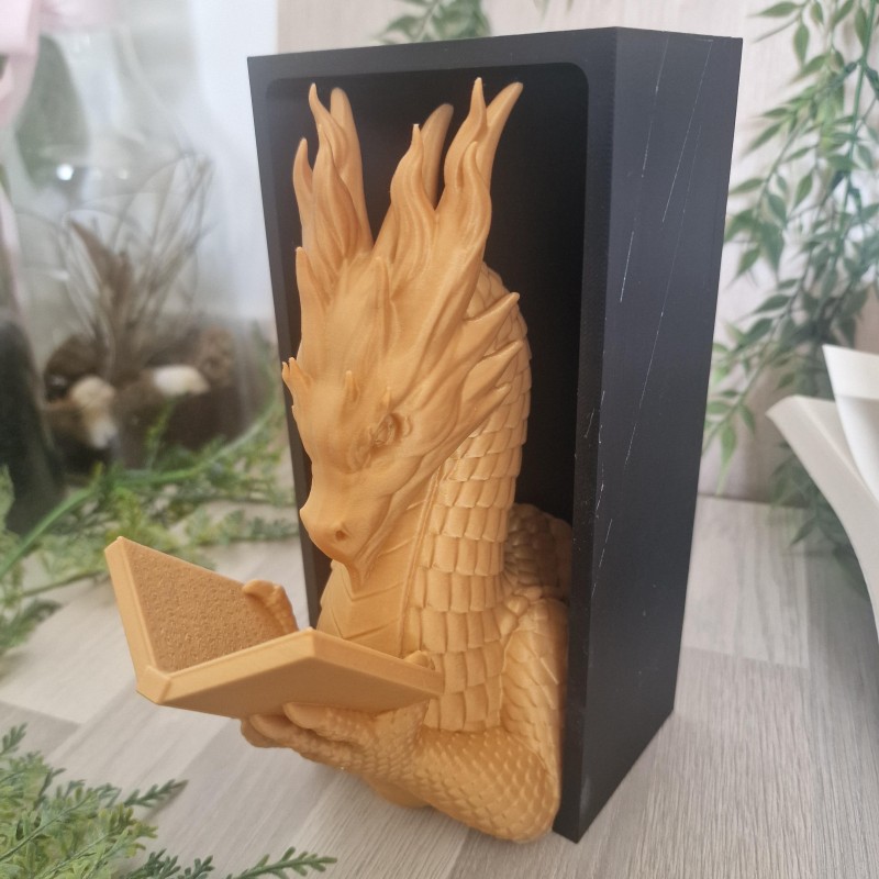 Book Nook Dragon qui lit