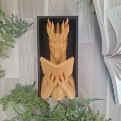 Book Nook Dragon qui lit