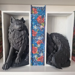 copy of Book Nook Renard Polaire