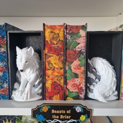Book Nook Louve