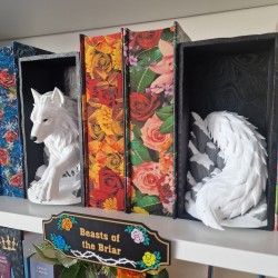 Book Nook Louve
