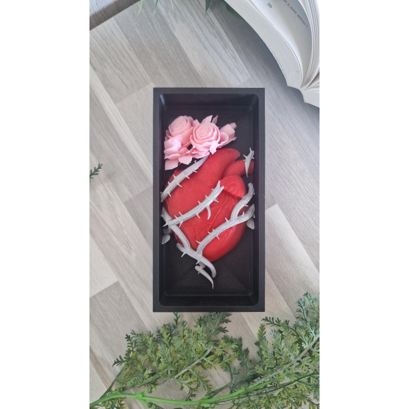 Book Nook Coeur épines